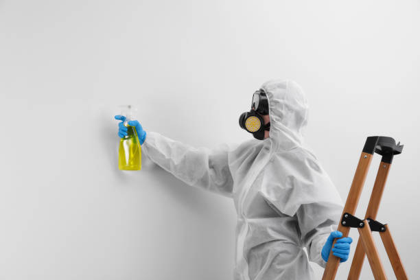 Why You Should Choose Our Mold Remediation Services in Sturgeon Bay, WI